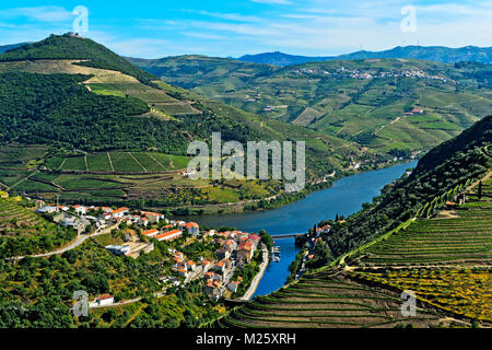Die Stadt Pinhão surroujnded von terrassierten Weinberge im Douro Tal, Weinregion Alto Douro, Pinhão, Portugal Stockfoto