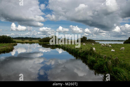 Worpswede, das Künstlerdorf im Teufelsmoor mit wunderschöner Naturlandschaft an der Hamme und auf dem Weyerberg Stockfoto