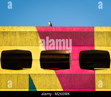 Taube auf bunten Grafton Parkplatz in Worthing Stockfoto