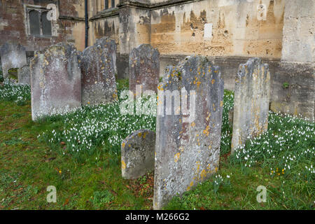 Schneeglöckchen um alte Grabsteine in der St. Michael Kirche in Basingstoke, Hampshire, Großbritannien Stockfoto