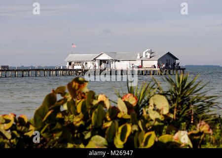 Anna Maria Island, Florida, USA: Die Anna Maria Island City Pier bietet eine Bar, Bait Shop und Restaurant am nördlichen Ende der Anna Maria Island in der Nähe von Stockfoto