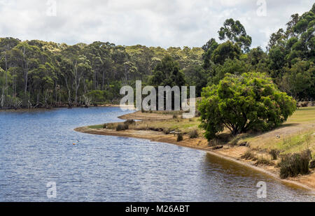 Einem eukalyptuswald am Ufer eines kleinen Sees in Margaret River, WA, Australien. Stockfoto