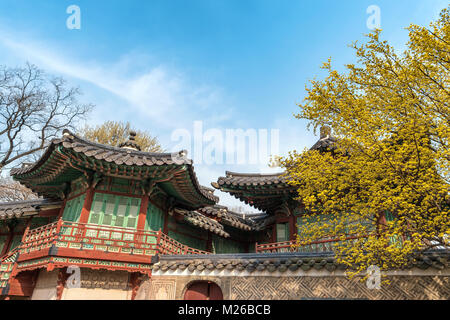 Feder an der Changdeokgung Palace, Seoul, Südkorea Stockfoto