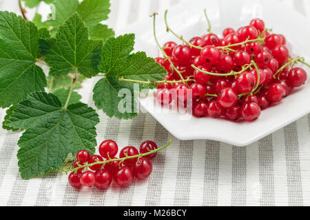Frisch reife rote Johannisbeeren mit Blättern auf der Platte über striped Background gesammelt. Ansicht von oben Stockfoto