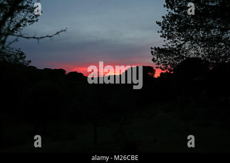 Roter Sonnenuntergang über dunklen bewaldeten Berghang Parque Natural Sierra de Andujar, Jaen, Spanien Januar Stockfoto