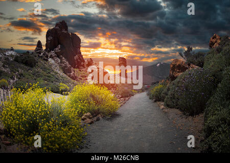 Nationalpark El Teide, Teneriffa, Kanarische Inseln, Spanien Stockfoto