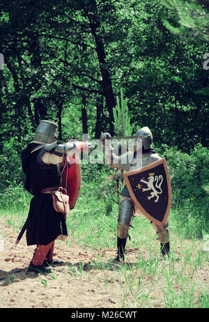 Zwei Ritter in Rüstung kämpft am Wald Stockfoto