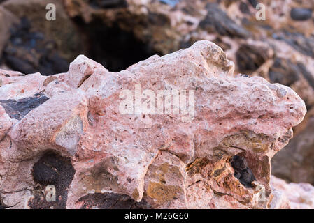 Blick auf einem Lavafelsen in einem Rock Feld Stockfoto