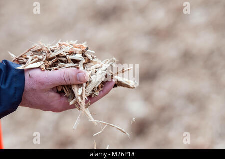 Verwertung von Holz Holz Abfälle Abfälle sind erstattungsfähig für