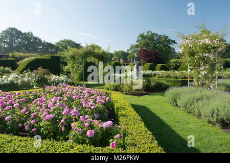 Rosa 'Compte Chambord' eine tiefe Rosa umgeben Rose von Rose fallen Arches und Absicherung in der Rose parterre Houghton Hall, King's Lynn, Norfolk, U Stockfoto