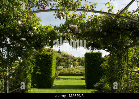 Rosa" Cecile Brunner' ein rosa Klettern auf einem Bogen zu Formschnitten und Statuen in der Rose Rose parterre Houghton Hall, King's Lynn, Norfolk, Großbritannien Stockfoto