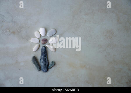 Stony Blumen aus kleinen Kieseln Stockfoto