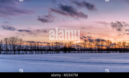 Ein Feld bei Sonnenuntergang im Winter Stockfoto