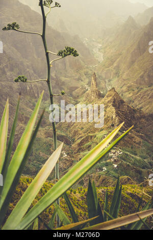 Nahaufnahme von agava Pflanzen und Rocky Mountains im Hintergrund, im Xo-xo Tal in Santo Antao, Kap Verde Stockfoto