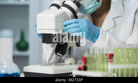 Nahaufnahme der bakteriologe Bemusterungen von Bakterien auf Mikroskop, Virologie Stockfoto