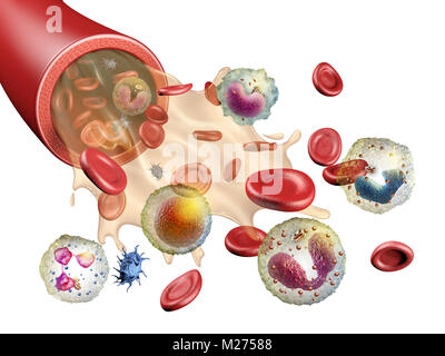 Verschiedene Bestandteile des menschlichen Blutes. 3D-Darstellung. Stockfoto