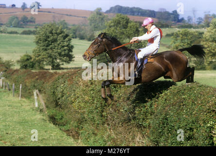 Pferd und Reiter springen Hecke in Team Cross Country, Team chase Stockfoto