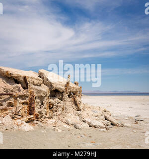 Abgebrochene Rückstände am Bomby Strand, der Salton Sea, Kalifornien Stockfoto