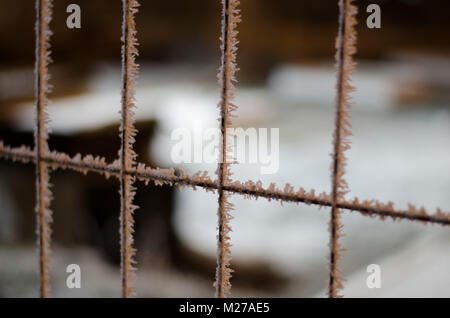 Frosty Zaun in der kalten Nacht Stockfoto