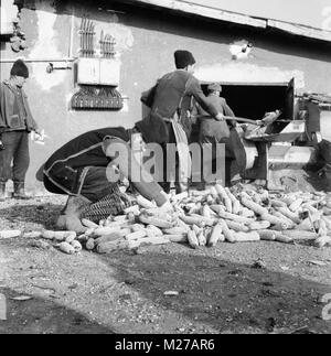 Staatliche landwirtschaftliche Genossenschaft im kommunistischen Rumänien, in den 1970er Jahren. Bauern beladen Mais in einer Schellermaschine. Stockfoto