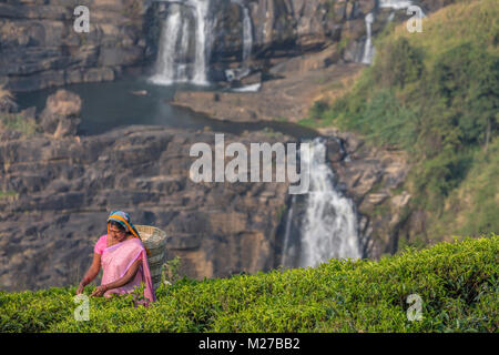 St Clair fällt, Kaffee pluckers, Nuwara Eliya, Sri Lanka, Asien Stockfoto