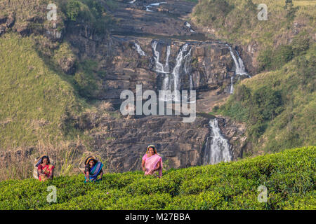 St Clair fällt, Kaffee pluckers, Nuwara Eliya, Sri Lanka, Asien Stockfoto