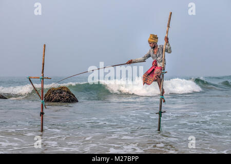 Stelze Fischer, Ahangama, Mirissa, Sri Lanka, Asien Stockfoto