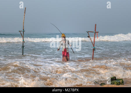 Stelze Fischer, Ahangama, Mirissa, Sri Lanka, Asien Stockfoto