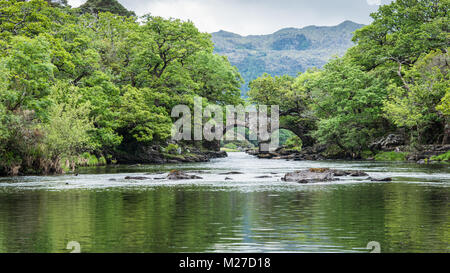 Old Weir Brücke, Muckross Lake Stockfoto