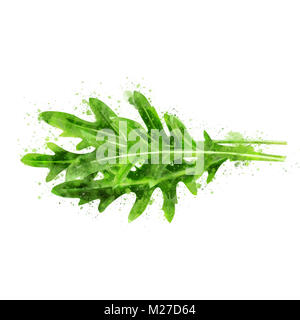 Rucola auf weißem Hintergrund. Aquarell Abbildung Stockfoto