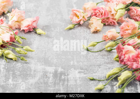 Feder. Frische rosa eustoma Blume auf konkreten Hintergrund. Flat Style mit Platz für Text zu legen. Frauen oder Mütter Tag Thema. Stockfoto