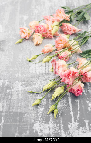 Feder. Frische rosa eustoma Blume auf konkreten Hintergrund. Flat Style mit Platz für Text zu legen. Frauen oder Mütter Tag Thema. Stockfoto