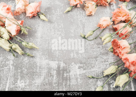 Feder. Frische rosa eustoma Blume auf konkreten Hintergrund. Flat Style mit Platz für Text zu legen. Frauen oder Mütter Tag Thema. Stockfoto