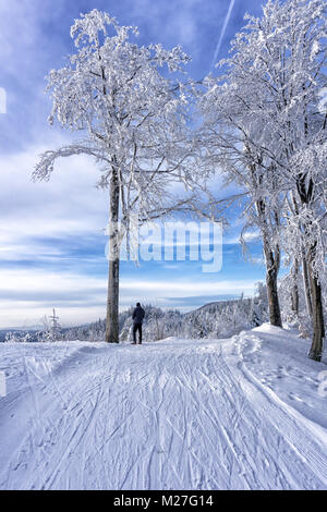 Einzelne touristische, cross country Skier ruht auf der Spitze des Hügels, unter Frosted, Baum, Buche. Bewundert schneebedeckte Berge. Stockfoto