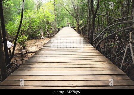 Holzbrücke Gehweg Mangrovenwald in Thailand Stockfoto