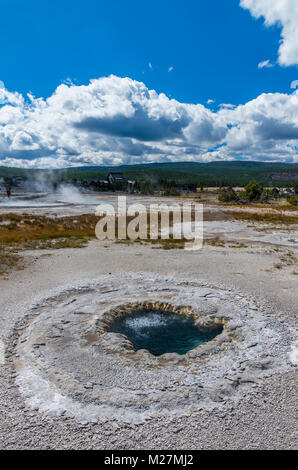 Strand Frühling in Upper Geyser Basin kocht gelegentlich mit einem Ansturm von Blasen. Yellowstone National Park, Wyoming, USA Stockfoto