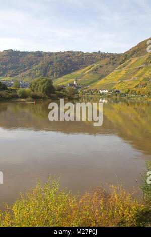 Herbstfarben im Weinort Bremm, Calmont, Mosel, Rheinland-Pfalz, Deutschland, Europa Stockfoto