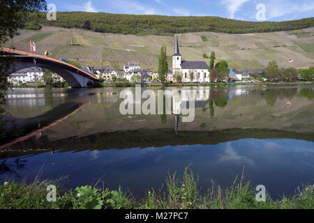 Katholische Kirche St. Michael am Flußufer, weinort Piesport, Mosel, Rheinland-Pfalz, Deutschland, Europa Stockfoto