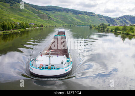 Schiff auf Mosel in Piesport, Mosel, Rheinland-Pfalz, Deutschland, Europa Stockfoto