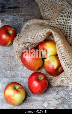 Frische Äpfel aus dem Obstgarten in alten hessischen Sack Stockfoto