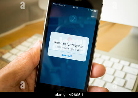 Paypal Touch ID Log in screen on iPhone SE Stockfoto