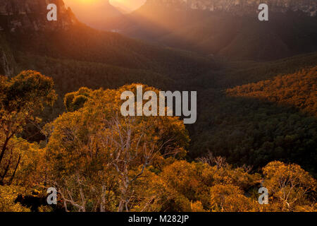 Govetts Leap in den blauen Bergen, in der Nähe von Sydney, Australien. Den Sonnenaufgang wirft ein warmes Licht über das beeindruckende Tal. Stockfoto