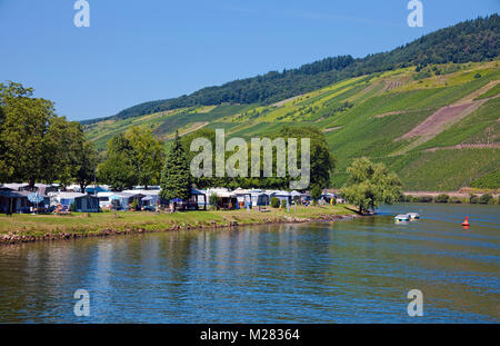 Campingplatz am Flußufer der Wolf, Traben-Trarbach, Mosel, Rheinland-Pfalz, Deutschland, Europa Stockfoto