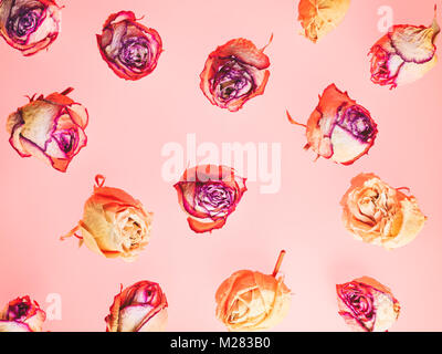 Dekoration aus getrockneten rosa Blüten. Rosen Hintergrund Stockfoto