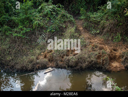 Elefant Titel aus einem letzten Ansturm bleiben in einem Kanal nach dem Versuch, es zu Ernten der Ban Na Isan Dorf in Chachaoengsao, Königreich Thailand, Jan. 31, 2018 zu machen. Beide Royal Thai und US-Streitkräfte beobachtet die Bemühungen, die von den Dorfbewohnern gemacht Zukunft Elefant stampedes zu verhindern und spendete mehrere Säcke mit Reis und Kartoffeln für das Dorf. Übung Cobra Gold 2018 ist eine jährliche Übung im Königreich Thailand durchgeführt und läuft vom 13-23 Februar mit bis zu neun Nationen teilnehmen. (U.S. Marine Corps Stockfoto