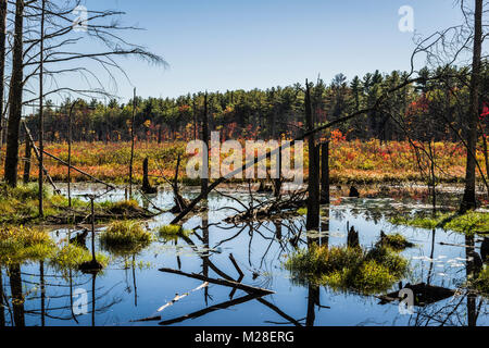 Quabbin Reservoir New Salem, Massachusetts, USA Stockfoto