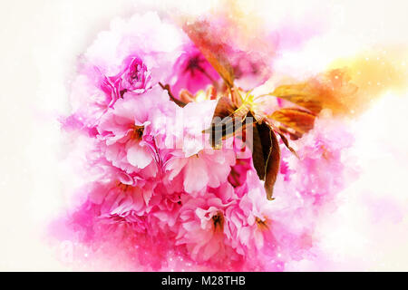 Pink Sakura Blumen blühen, sanft verwischt Aquarell Hintergrund. Stockfoto