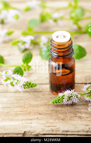 Pfefferminze und ätherisches Öl Pfefferminze Blumen auf dem Holzbrett Stockfoto