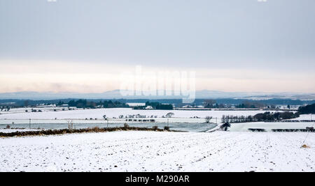 East Lothian, Schottland, Vereinigtes Königreich. Ein kalter Morgen mit Schnee über die Landschaft auf der Suche nach Norden in Richtung der Lomond Hills in der Fife Stockfoto