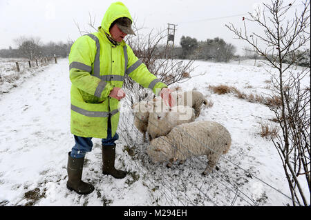 Affetside, Greater Manchester, UK. 6. Februar, 2018. Credit: Paul Heyes/Alamy leben Nachrichten Stockfoto